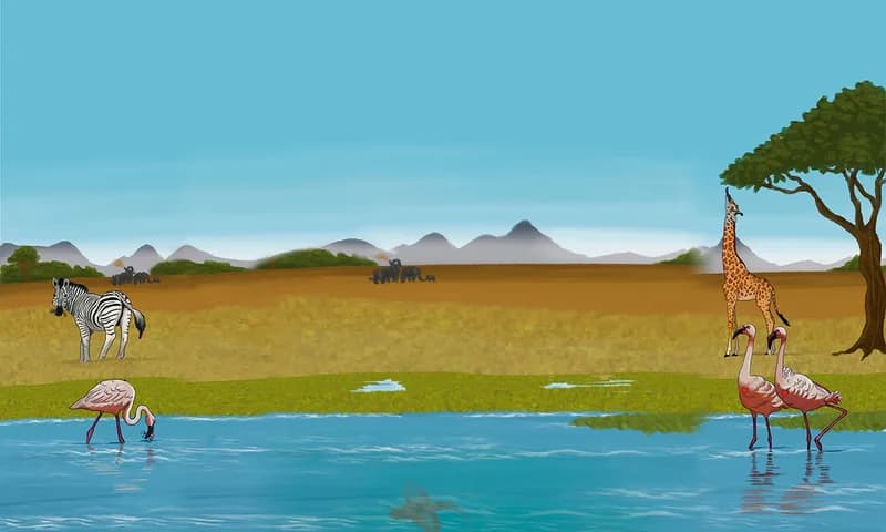Zèbre, girafe et flamants roses au bord d'un point d'eau dans la savane, illustration des Fables de Gunter