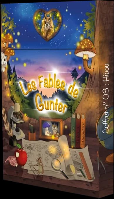 Coffret nº 03 — Hibou
